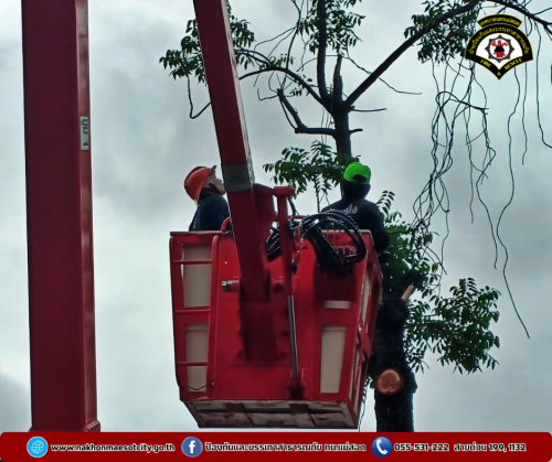 ดับเพลิงนครแม่สอด ดำเนินการตัดต้นไม้พาดผ่านสายไฟฟ้า บริเวณโรงเรียนแม่สอด