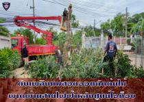 ดับเพลิงเเม่สอด ออกตัดต้นไม้หลังศูนย์แสดงสินค้า(OTOP)