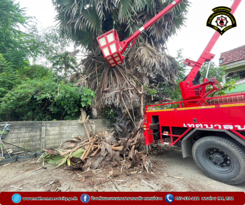 ดับเพลิงนครแม่สอด ออกดำเนินการตัดต้นไม้ เนื่องจากพาดผ่านสายไฟฟ้า บริเวณหมู่บ้านตาลเดี่ยว วิลล่า