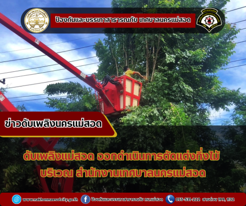 ดับเพลิงนครแม่สอด ออกดำเนินการตัดแต่งกิ่งไม้ เนื่องจากบดบังทัศนวิสัย บริเวณสำนักงานเทศบาลนครแม่สอด