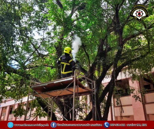 ดับเพลิงนครแม่สอด ดำเนินการกำจัดรังผึ้ง บริเวณโรงเรียนเทศบาลวัดดอนแก้ว