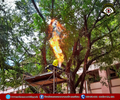 ดับเพลิงนครแม่สอด ดำเนินการกำจัดรังผึ้ง บริเวณโรงเรียนเทศบาลวัดดอนแก้ว