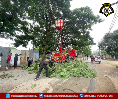 ดับเพลิงนครแม่สอด ออกดำเนินการตัดแต่งกิ่งไม้ เนื่องจากพาดผ่านสายไฟฟ้า บริเวณใกล้เคียงไทยแสงทองบ้านโต้ง