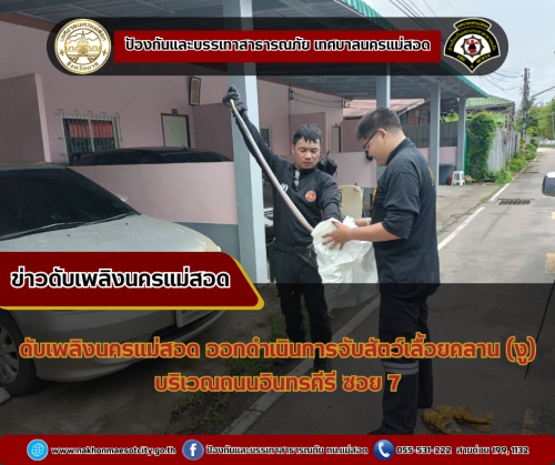 ดับพลิงนครแม่สอด ออกดำเนินการจับสัตว์เลื้อยคลาน (งู) บริเวณถนนอินทรคีรี ซอย 7