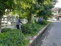 งานสวนสาธารณะ ตัดหญ้าและตัดแต่งต้นไม้เพื่อความสะอาดและความสวยงาม