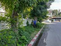 งานสวนสาธารณะ ตัดหญ้าและตัดแต่งต้นไม้เพื่อความสะอาดและความสวยงาม