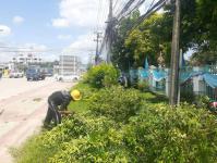 งานสวนสาธารณะ ตัดหญ้าและตัดแต่งต้นไม้เพื่อความสะอาดและความสวยงาม