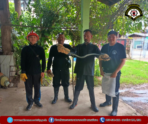 ดับพลิงนครแม่สอด ออกดำเนินการจับสัตว์เลื้อยคลาน (งู) บ้านเรือนประชาชน ใกล้เคียงวัดดอนไชย