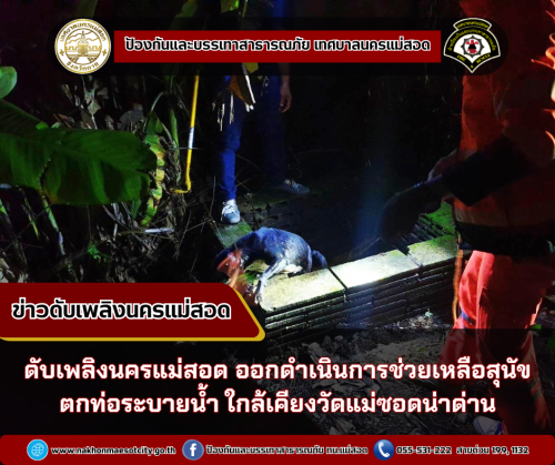 ดับเพลิงนครแม่สอด ออกดำเนินการช่วยเหลือสุนัขตกท่อระบายน้ำ ใกล้เคียงวัดแม่ชอดน่าด่าน