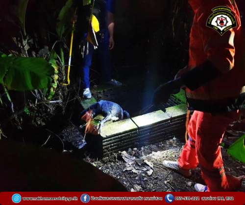 ดับเพลิงนครแม่สอด ออกดำเนินการช่วยเหลือสุนัขตกท่อระบายน้ำ ใกล้เคียงวัดแม่ชอดน่าด่าน