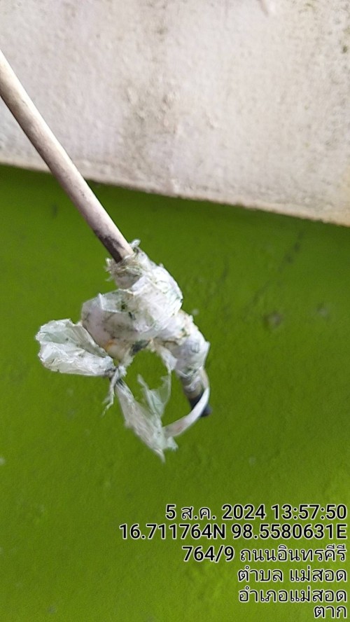 เจ้าหน้าที่กองยุทธศาสตร์และงบประมาณ ดำเนินการตามคำร้องขอ ติดตั้งและซ่อมแซมเคเบิ้ลทีวี เพื่อการศึกษาเทศบาลนครแม่สอด ระหว่างวันที่ 1 - 6 สิงหาคม 2567 