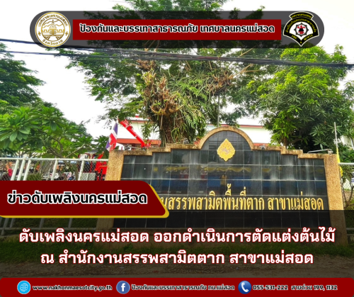 ดับเพลิงนครแม่สอด ออกดำเนินการตัดแต่งต้นไม้ ณ สำนักงานสรรพสามิตตาก สาขาแม่สอด