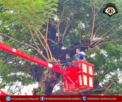 ดับเพลิงนครแม่สอด ออกดำเนินการตัดแต่งต้นไม้ ณ สำนักงานสรรพสามิตตาก สาขาแม่สอด