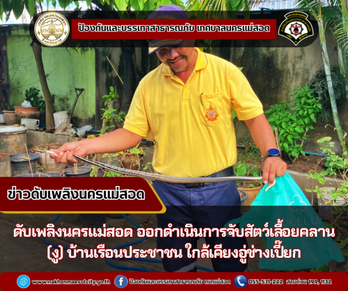 ดับเพลิงนครแม่สอด ออกดำเนินการจับสัตว์เลื้อยคลาน (งู) บ้านเรือนประชาชน ใกล้เคียงอู่ช่างเปี๊ยก