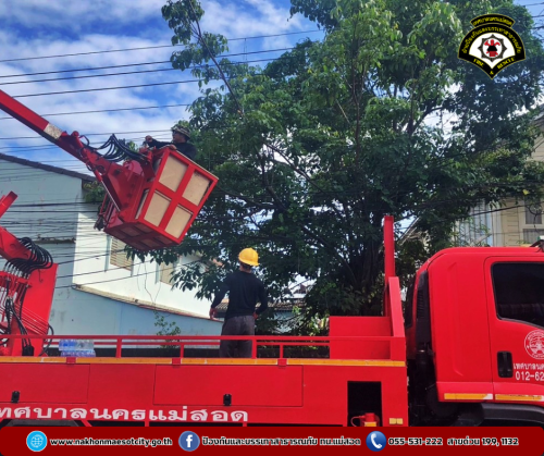 ดับเพลิงนครแม่สอด ออกดำเนินการตัดต้นไม้พาดผ่านสายไฟฟ้า บริเวณบ้านพักสำนักงานสรรพากร สาขาแม่สอด