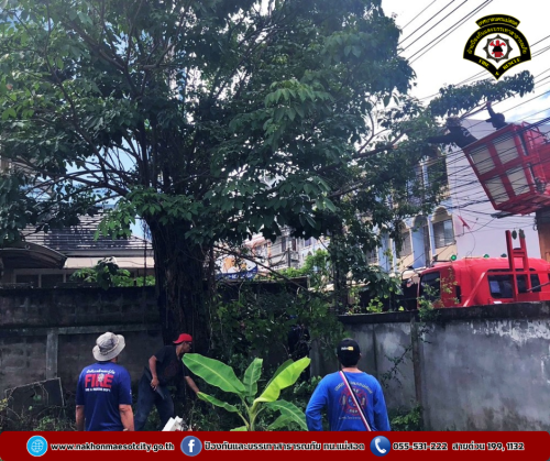 ดับเพลิงนครแม่สอด ออกดำเนินการตัดต้นไม้พาดผ่านสายไฟฟ้า บริเวณบ้านพักสำนักงานสรรพากร สาขาแม่สอด