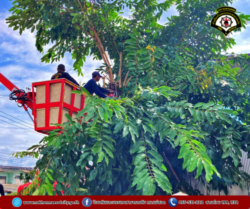 ดับเพลิงนครแม่สอด ออกดำเนินการตัดต้นไม้พาดผ่านสายไฟฟ้า บริเวณใกล้เคียงพงศธรณ์ ทนายความ