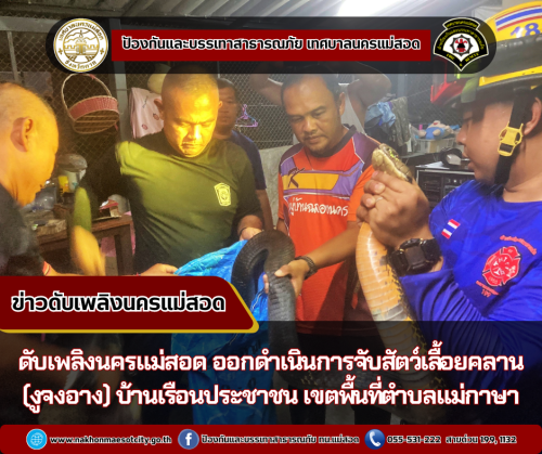 ดับเพลิงนครแม่สอด ออกดำเนินการจับสัตว์เลื้อยคลาน (งูจงอาง) บ้านเรือนประชาชน เขตพื้นที่ตำบลแม่กาษา