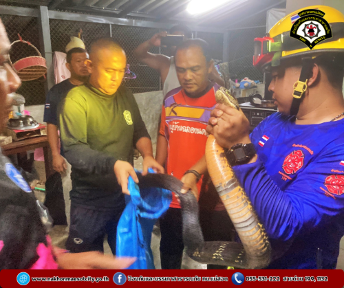 ดับเพลิงนครแม่สอด ออกดำเนินการจับสัตว์เลื้อยคลาน (งูจงอาง) บ้านเรือนประชาชน เขตพื้นที่ตำบลแม่กาษา