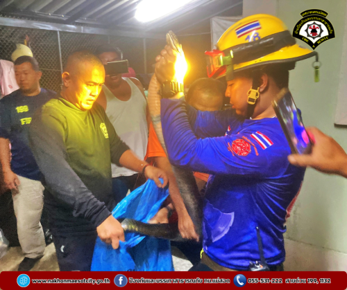 ดับเพลิงนครแม่สอด ออกดำเนินการจับสัตว์เลื้อยคลาน (งูจงอาง) บ้านเรือนประชาชน เขตพื้นที่ตำบลแม่กาษา