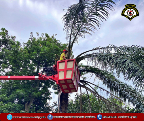 ดับเพลิงนครแม่สอด ออกดำเนินการตัดต้นไม้สูงบดบังทัศนวิสัย บริเวณซอย 7 ชุมชนรังแร้ง