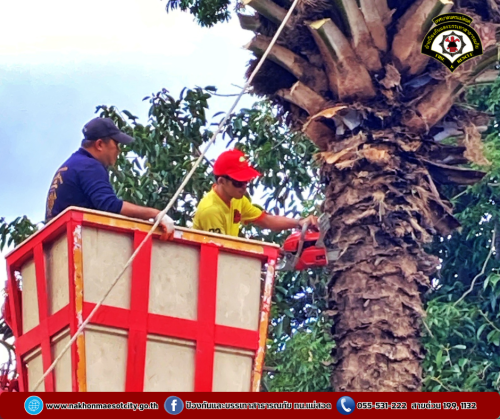 ดับเพลิงนครแม่สอด ออกดำเนินการตัดต้นไม้สูงบดบังทัศนวิสัย บริเวณซอย 7 ชุมชนรังแร้ง