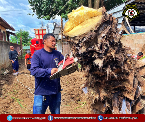 ดับเพลิงนครแม่สอด ออกดำเนินการตัดต้นไม้สูงบดบังทัศนวิสัย บริเวณซอย 7 ชุมชนรังแร้ง