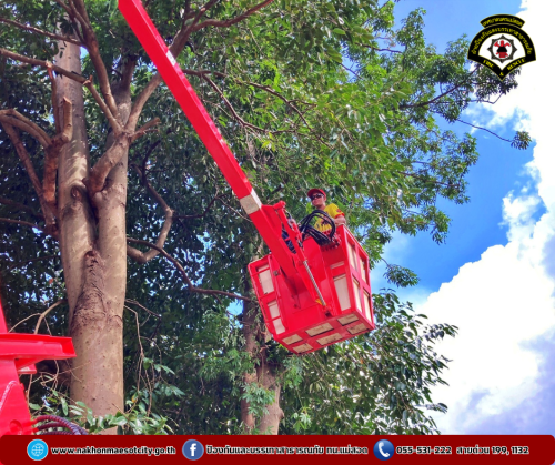 ดับเพลิงนครแม่สอด ออกดำเนินการตัดต้นไม้สูงบดบังทัศนวิสัย บริเวณซอย 7 ชุมชนรังแร้ง
