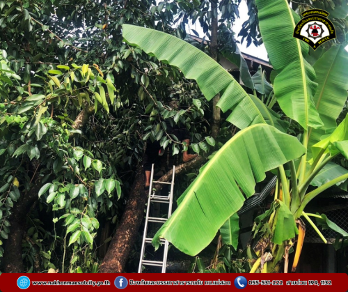 ดับเพลิงนครแม่สอด ดำเนินการตัดต้นไม้โค่นล้ม ทับบ้านเรือนประชาชน บริเวณชุมชนอิสลาม