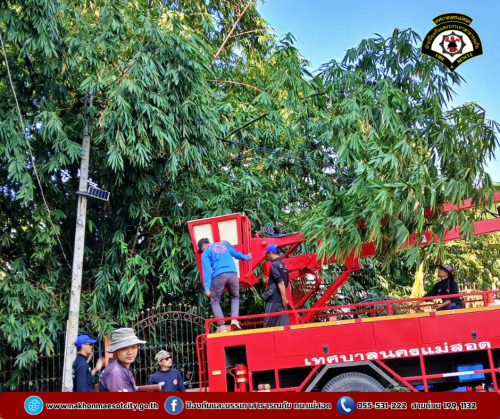 ดับเพลิงนครแม่สอด ออกดำเนินการตัดต้นไม้พาดผ่านสายไฟฟ้า บริเวณโรงเรียนเฉลิมพระเกียรติฯ (ท.5)