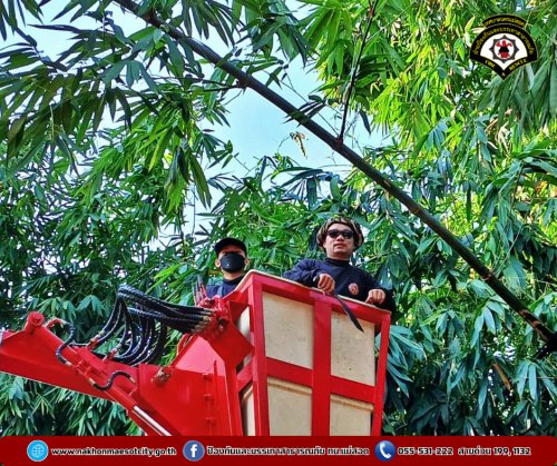 ดับเพลิงนครแม่สอด ออกดำเนินการตัดต้นไม้พาดผ่านสายไฟฟ้า บริเวณโรงเรียนเฉลิมพระเกียรติฯ (ท.5)