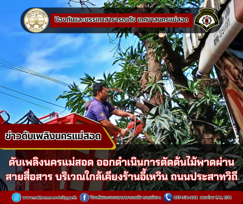 ดับเพลิงนครแม่สอด ออกดำเนินการตัดต้นไม้พาดผ่านสายสื่อสาร บริเวณใกล้เคียงร้านอี้เหวิน ถนนประสาทวิถี