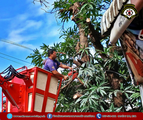 ดับเพลิงนครแม่สอด ออกดำเนินการตัดต้นไม้พาดผ่านสายสื่อสาร บริเวณใกล้เคียงร้านอี้เหวิน ถนนประสาทวิถี