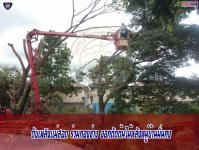 ดับเพลิงเเม่สอด ร่วมกองช่าง ออกตัดต้นไม้พาดผ่านสายไฟฟ้าหลังหมู่บ้านมั่นคง