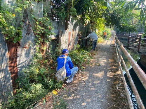 เรื่อง ตัดหญ้า/เก็บกวาดวัชพืช บริเวณแนวกำแพงกันดิน ชุมชนปู่แดง