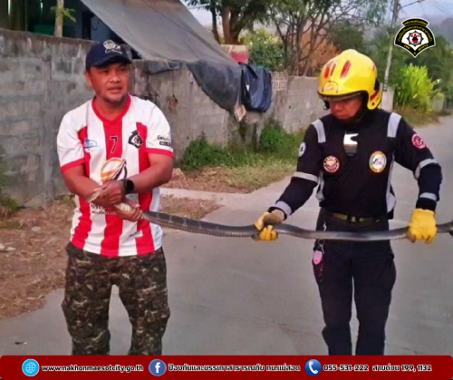 ดับเพลิงนครแม่สอด ออกดำเนินการจับสัตว์เลื้อยคลาน (งูจงอาง) บ้านเรือนประชาชน เขตพื้นที่ตำบลแม่ปะ