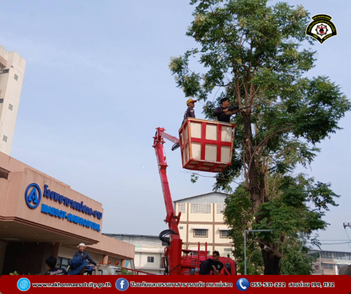 ดับเพลิงนครแม่สอด ออกดำเนินการตัดต้นไม้ บังทัศนวิสัย บริเวณหน้าโรงพยาบาลแม่สอด-ราม