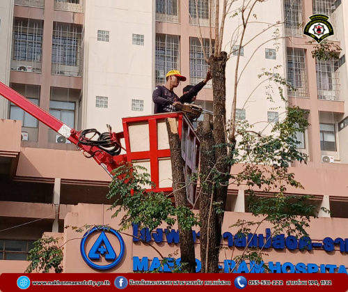 ดับเพลิงนครแม่สอด ออกดำเนินการตัดต้นไม้ บังทัศนวิสัย บริเวณหน้าโรงพยาบาลแม่สอด-ราม