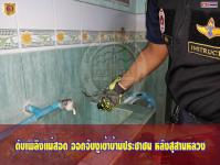 ดับเพลิงเเม่สอด ออกจับงูเข้าบ้านประชาชน หลังสุสานหลวงเเม่สอด
