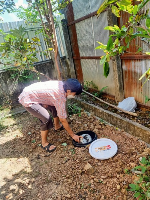 RE-X-RAY โครงการถังขยะเปียกลดโลกร้อน