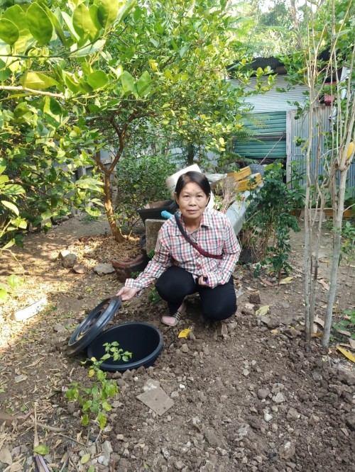 RE-X-RAY โครงการถังขยะเปียกลดโลกร้อน