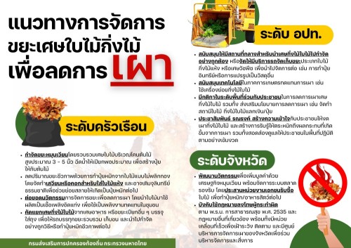 ด่วนที่สุด แนวทางการจัดการขยะเศษใบไม้กิ่งไม้เพื่อลดการเผา