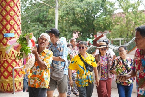 เทศบาลนครแม่สอดร่วมกับวัดดอนแก้วจัดโครงการจัดงานประเพณีแห่ไม้กำ๊สะหลี