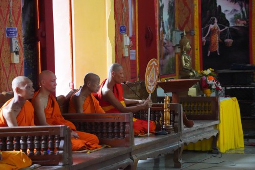 เทศบาลนครแม่สอดร่วมกับวัดดอนแก้วจัดโครงการจัดงานประเพณีแห่ไม้กำ๊สะหลี