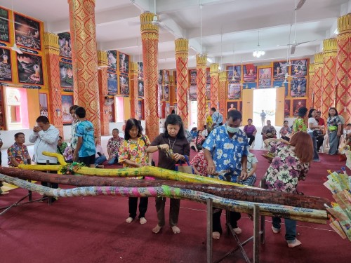 เทศบาลนครแม่สอดร่วมกับวัดดอนแก้วจัดโครงการจัดงานประเพณีแห่ไม้กำ๊สะหลี