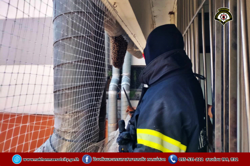 ดับเพลิงนครแม่สอด ออกดำเนินการกำจัดรังผึ้งหลวง บริเวณตึกสิรินธรชัยพัฒน์ (แม่สอด) โรงพยาบาลแม่สอด