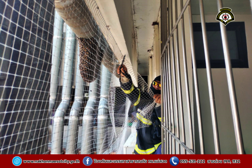ดับเพลิงนครแม่สอด ออกดำเนินการกำจัดรังผึ้งหลวง บริเวณตึกสิรินธรชัยพัฒน์ (แม่สอด) โรงพยาบาลแม่สอด