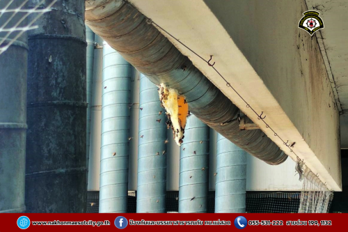 ดับเพลิงนครแม่สอด ออกดำเนินการกำจัดรังผึ้งหลวง บริเวณตึกสิรินธรชัยพัฒน์ (แม่สอด) โรงพยาบาลแม่สอด