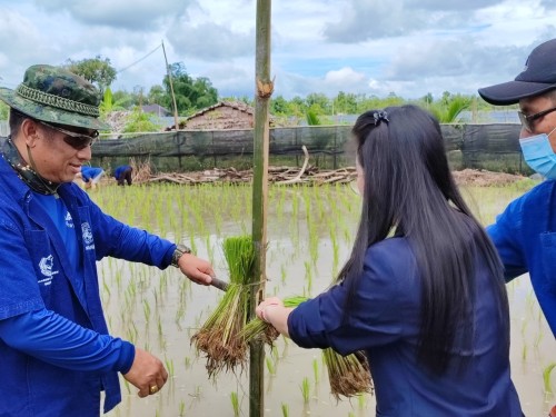 ปราชญ์ชาวบ้าน คุณอัมพร แสงราช ผู้สูงอายุชุมชนสองแคว1 ปราชญ์เรื่อง สานใบมะพร้าว และจัดทำตุง