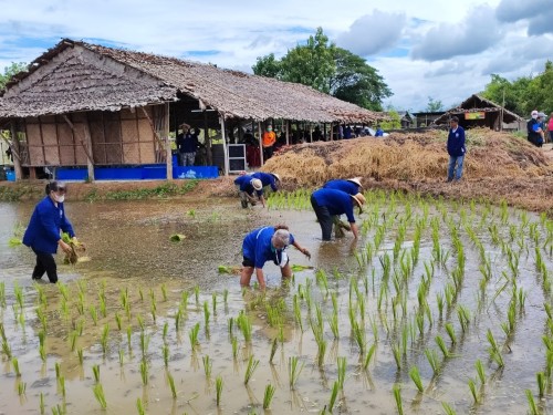 ปราชญ์ชาวบ้าน คุณอัมพร แสงราช ผู้สูงอายุชุมชนสองแคว1 ปราชญ์เรื่อง สานใบมะพร้าว และจัดทำตุง